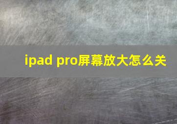 ipad pro屏幕放大怎么关